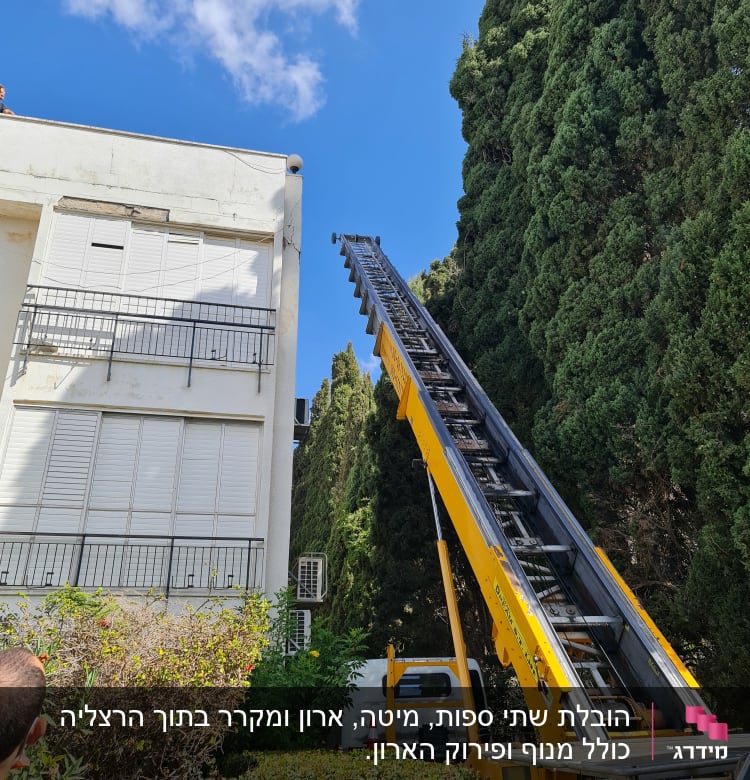 סולם נייד על משאית ליד בניין גבוה